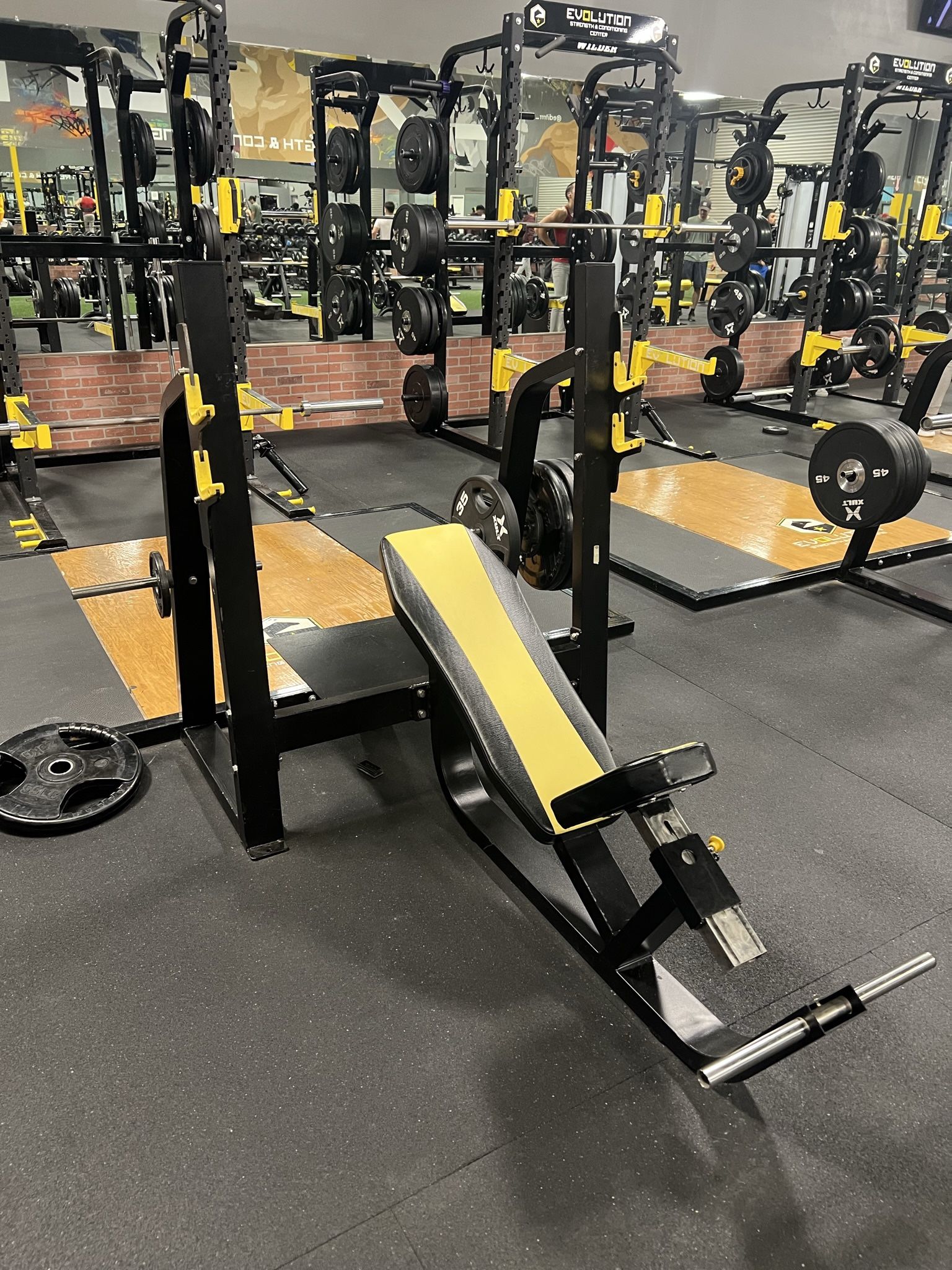 Incline Bench Press (3 Available)