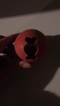 Kong dog ball $4