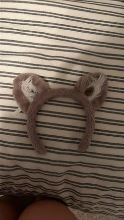 Great Wolf Lodge Ears