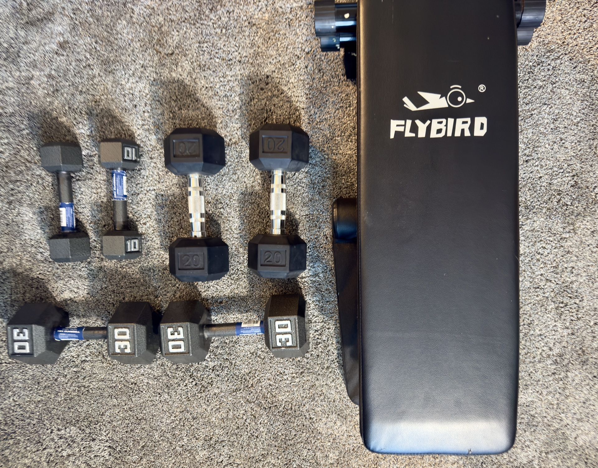 Workout Bench & Dumbbells 