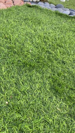 Artificial Turf - Snow