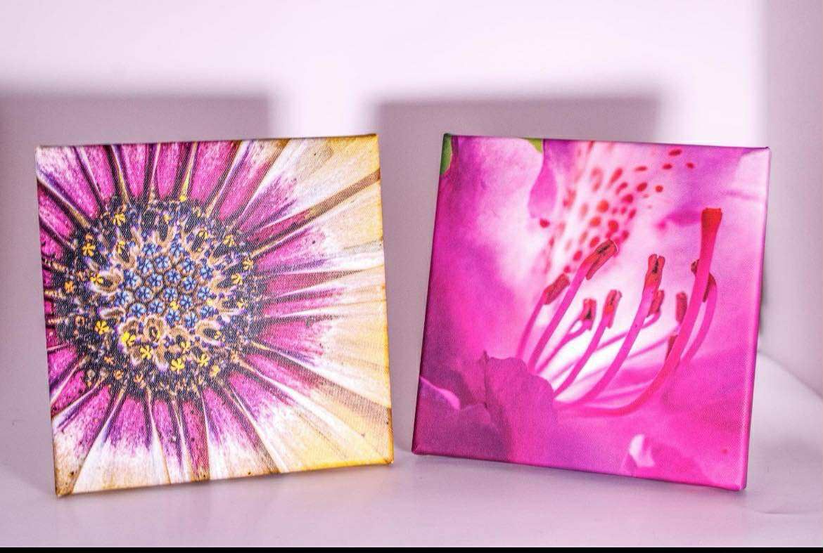 Flower Wall Art Pair