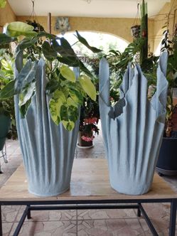 Large Cement Planters Set of 2