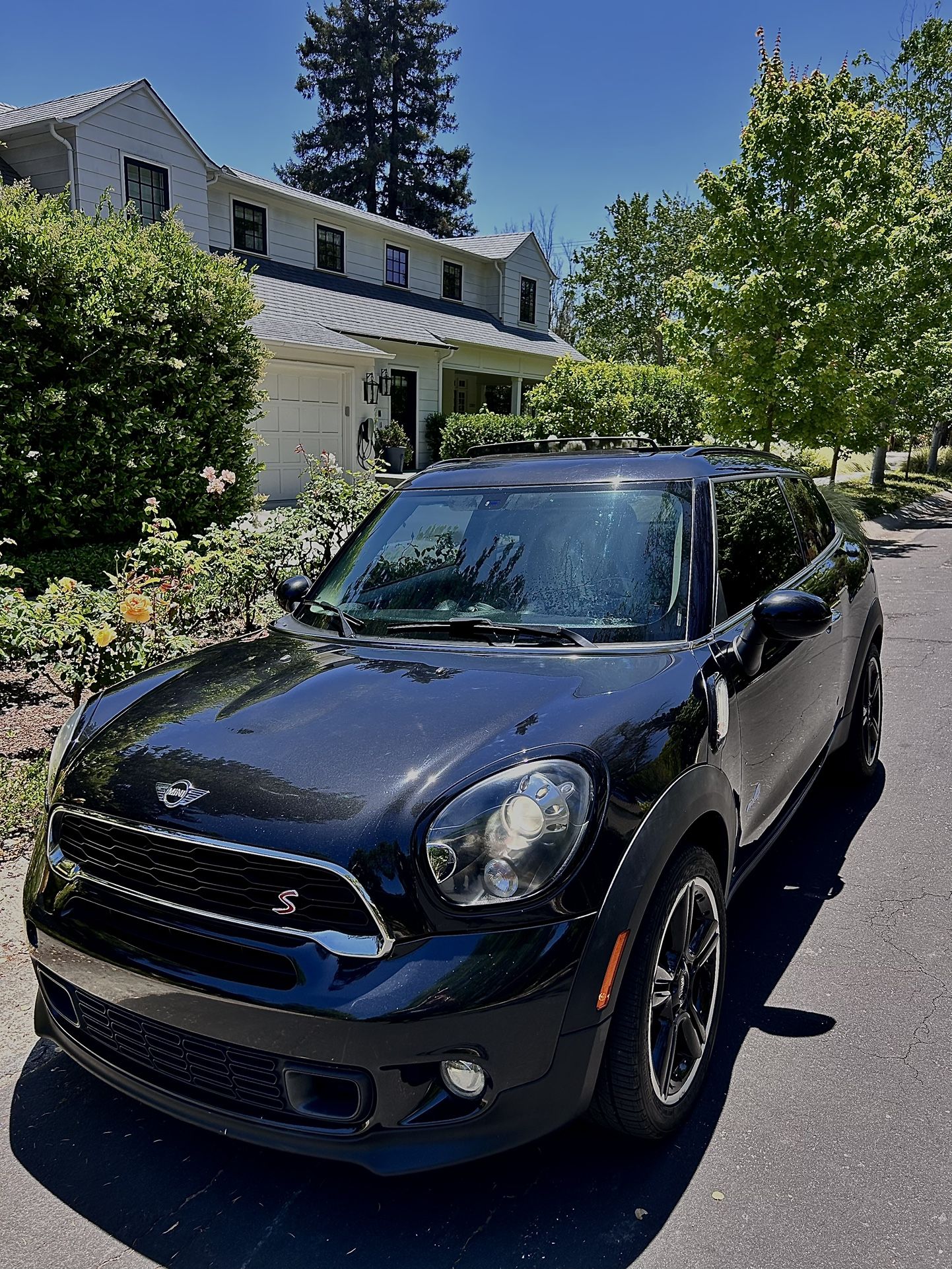 2015 Mini Paceman