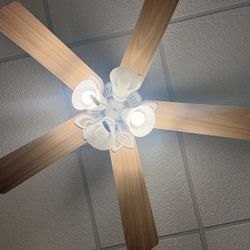 Ceiling Fan 