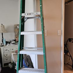 6 Ft. LOUISVILLE LADDER