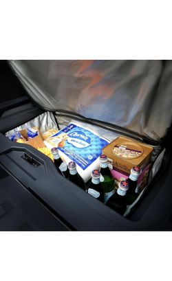 Cyber Truck Cooler Bag