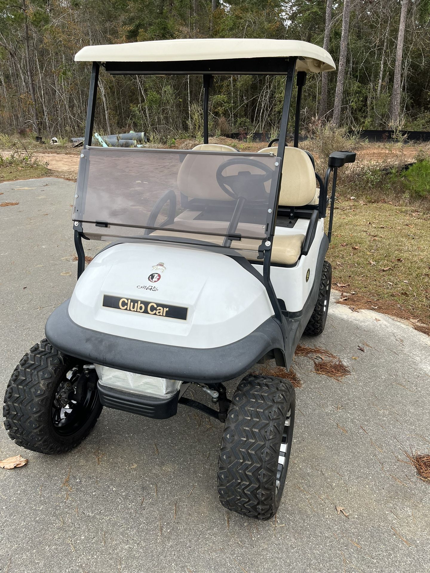 Golf Cart for Sale 