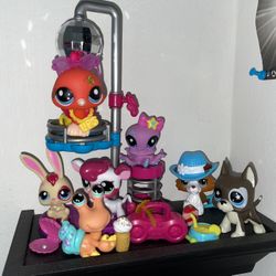 New Gen Littlest Pet Shops Lot!