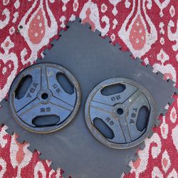 Two 25 pound weight plates