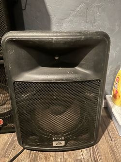 Peavy speakers amplify