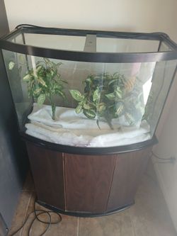 Quality 36 gallon bow front Aquarium withstand