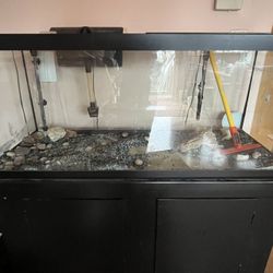 Aquarium Tank