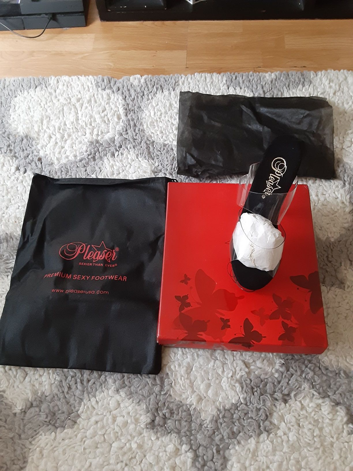 Pleaser shoes