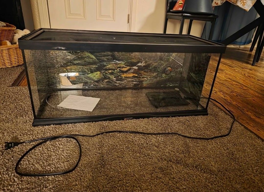 Reptile Tank With Heater