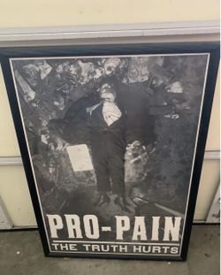 Vintage Pro-Pain The Truth Hurts Metal Band Promo Murder Poster 29”x41” Framed