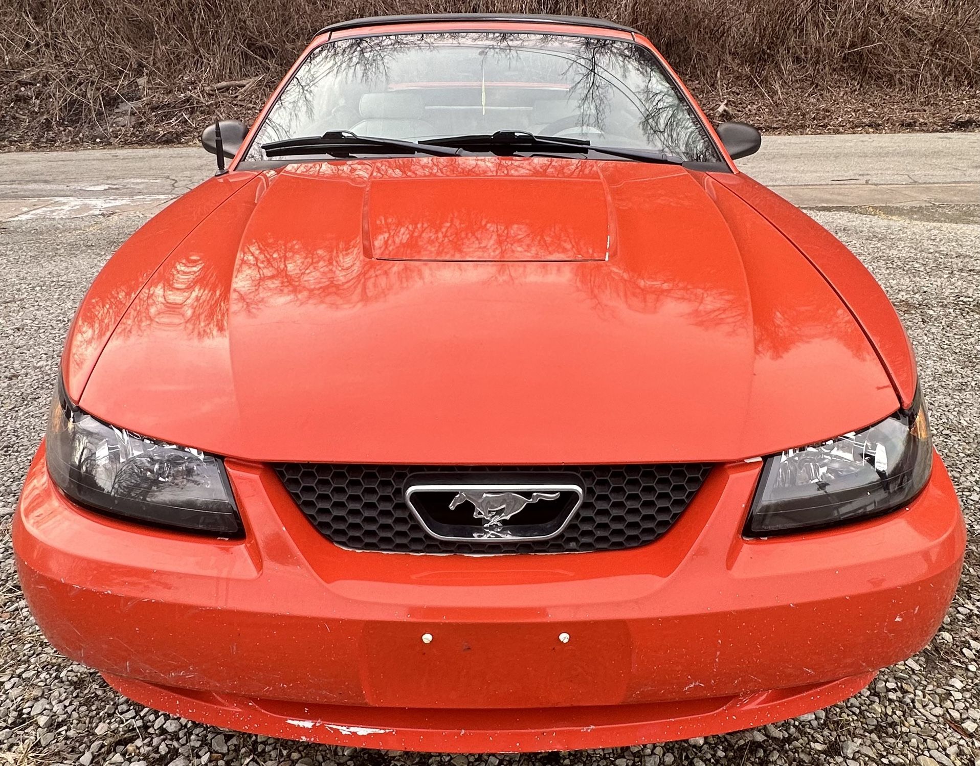 2003 Ford Mustang