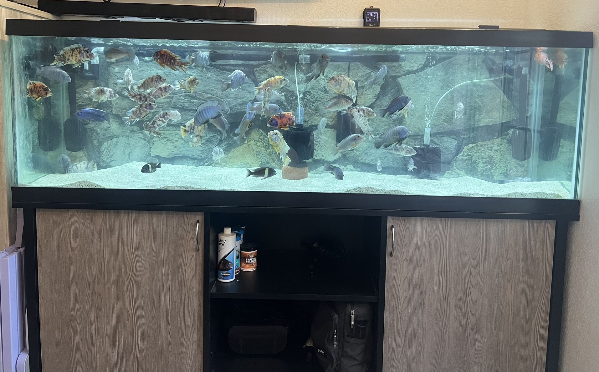 Aquarium