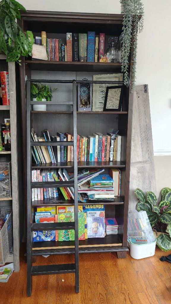 Bookcase with ladder, 90, OBO