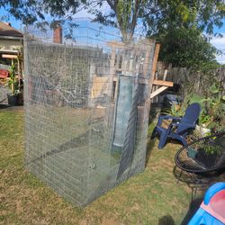 Birds cage