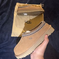 Womens Ugg Tasman.