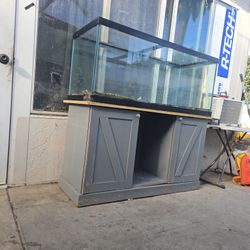 75 Gallon Fish Tank