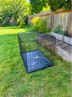 Foldable Dog Crate