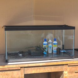 Fish Tank 40 Gallon