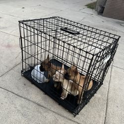 Dog Cage 