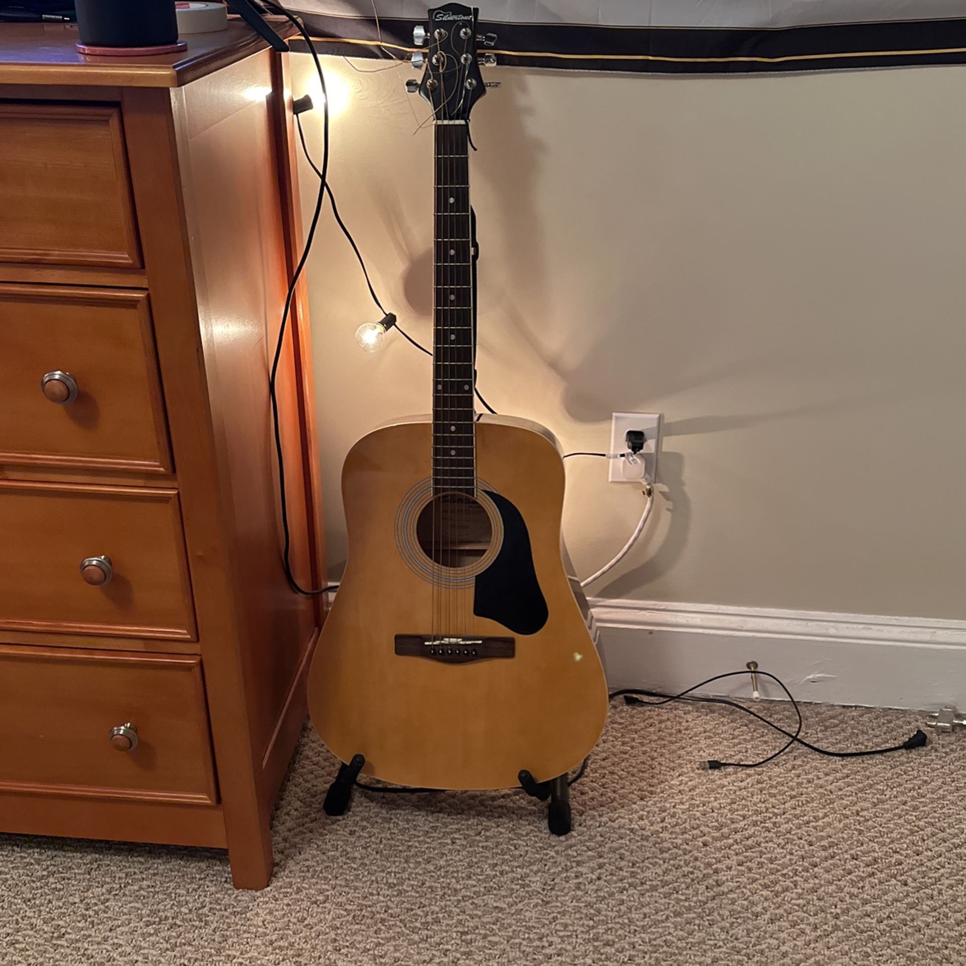 Silvertone Pro Series Guitar 