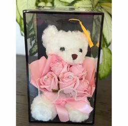 🎓Graduation teddy Bear with light included 🎓