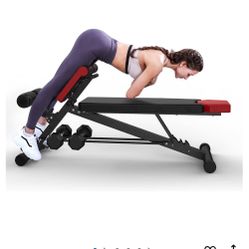 Finer Form  Workout Bench 