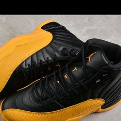 Jordan 12
