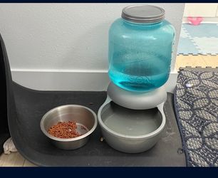 Dog water bowl and stand