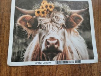 Highland Cow wall canvas print.