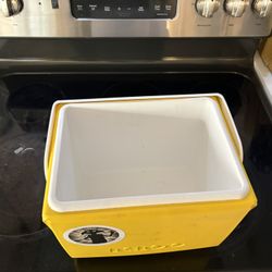 4qt Igloo