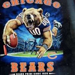 Chicago Bears Tickets 