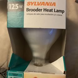 Brooder Heat Lamp New