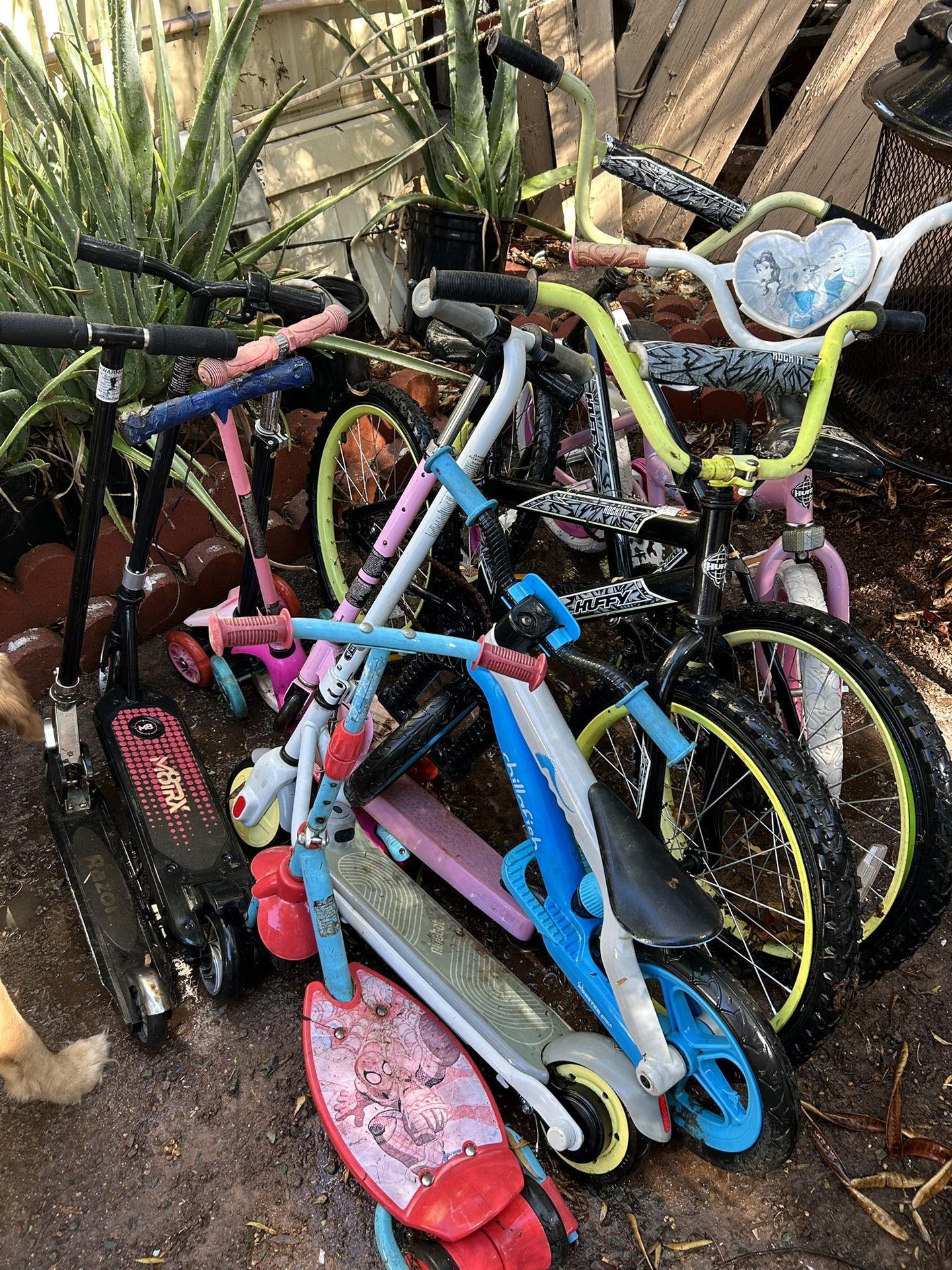 Bikes Scooters