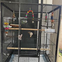 Bird Cage 