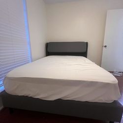 zinus bed frame need gone asap