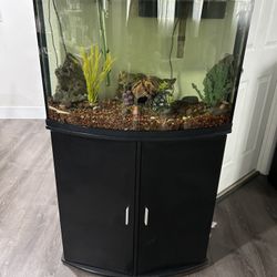 37gal Curved Glass Fish Tank 