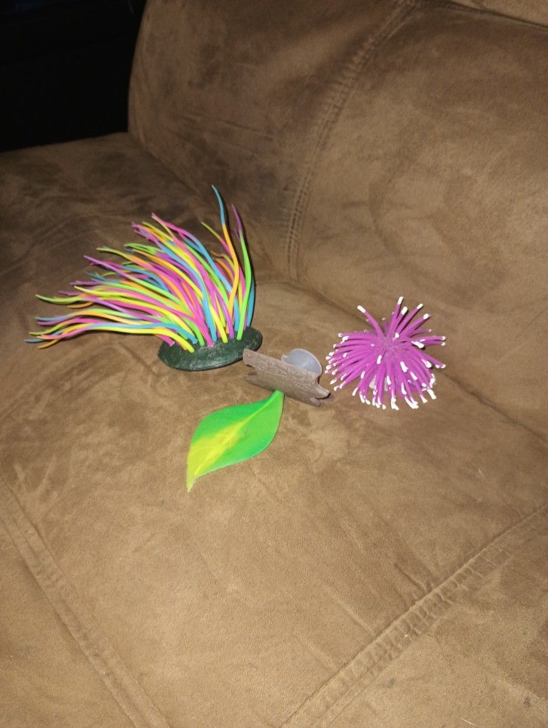 Fish Decorations
