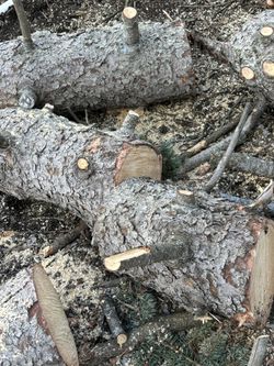 FREE FIRE WOOD KINDLE