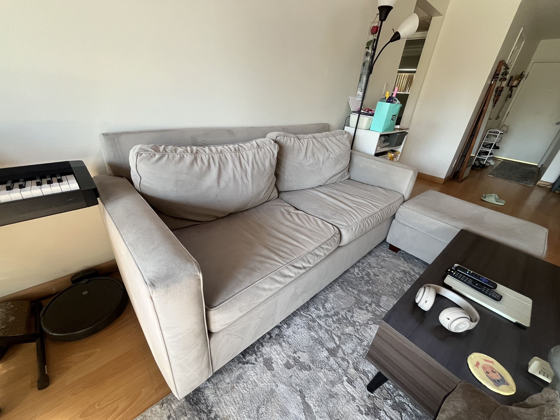 Light Grey Couch