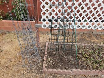 tomato cages price are each