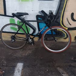 Giant   (Escape Disc 2) (Large Frame)