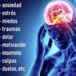 Hipnosis Regresiva .arteterapia Para Las Emociones