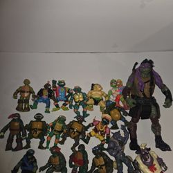 TMNT