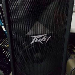 Peavey Speaker Pv115 